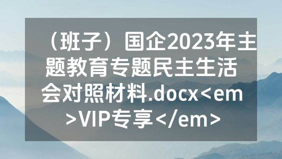 （班子）国企2023年主题教育专题民主生活会对照材料.docx<em>VIP专享</em>