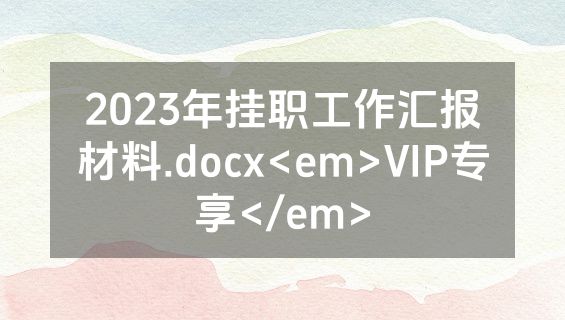 2023年挂职工作汇报材料.docx<em>VIP专享</em>