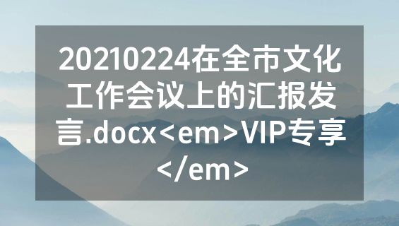 20210224在全市文化工作会议上的汇报发言.docx<em>VIP专享</em>