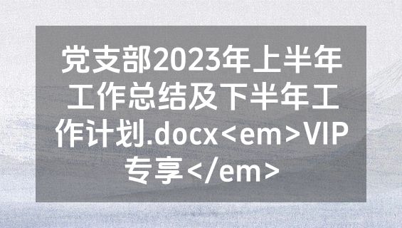党支部2023年上半年工作总结及下半年工作计划.docx<em>VIP专享</em>
