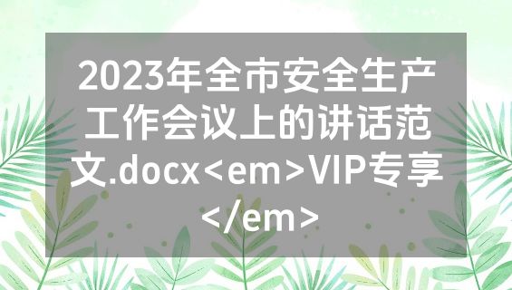 2023年全市安全生产工作会议上的讲话范文.docx<em>VIP专享</em>