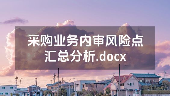 采购业务内审风险点汇总分析.docx