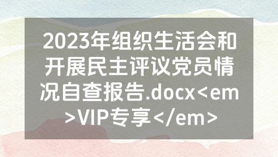 2023年组织生活会和开展民主评议党员情况自查报告.docx<em>VIP专享</em>