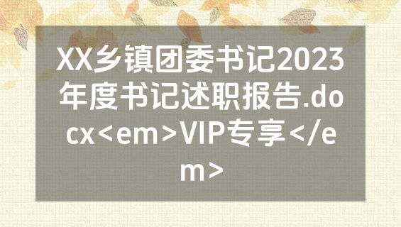 XX乡镇团委书记2023年度书记述职报告.docx<em>VIP专享</em>