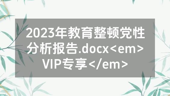 2023年教育整顿党性分析报告.docx<em>VIP专享</em>