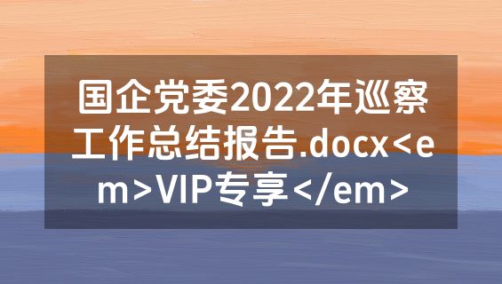 国企党委2022年巡察工作总结报告.docx<em>VIP专享</em>