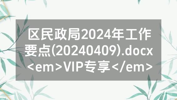 区民政局2024年工作要点(20240409).docx<em>VIP专享</em>