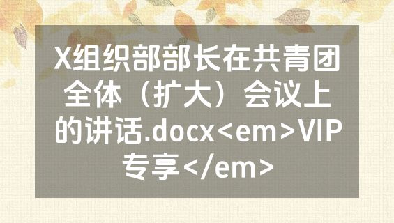 X组织部部长在共青团全体（扩大）会议上的讲话.docx<em>VIP专享</em>