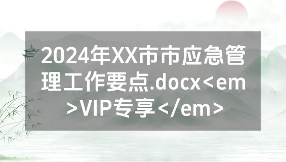 2024年XX市市应急管理工作要点.docx<em>VIP专享</em>