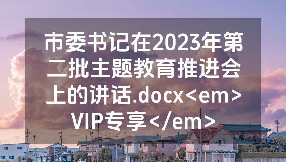 市委书记在2023年第二批主题教育推进会上的讲话.docx<em>VIP专享</em>