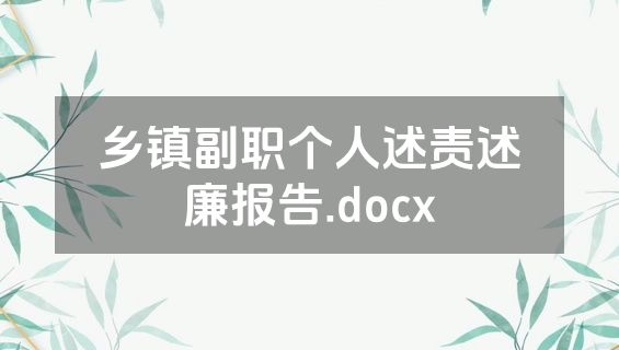 乡镇副职个人述责述廉报告.docx