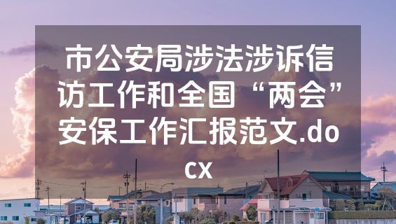 市公安局涉法涉诉信访工作和全国“两会”安保工作汇报范文.docx
