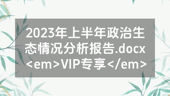 2023年上半年政治生态情况分析报告.docx<em>VIP专享</em>