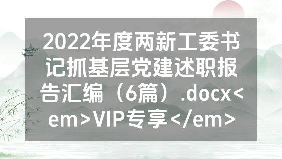 2022年度两新工委书记抓基层党建述职报告汇编（6篇）.docx<em>VIP专享</em>