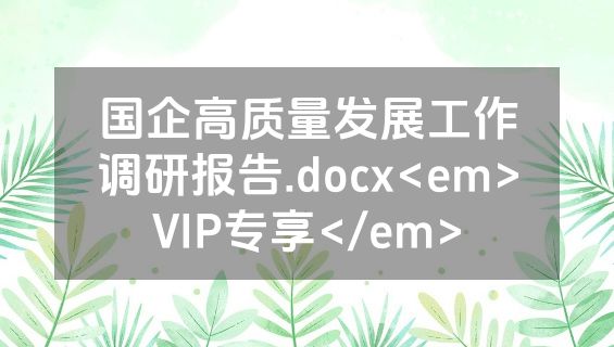 国企高质量发展工作调研报告.docx<em>VIP专享</em>