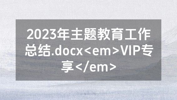2023年主题教育工作总结.docx<em>VIP专享</em>