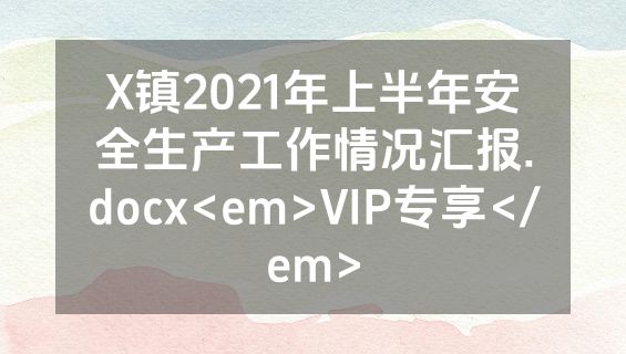 X镇2021年上半年安全生产工作情况汇报.docx<em>VIP专享</em>