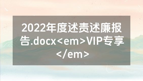 2022年度述责述廉报告.docx<em>VIP专享</em>