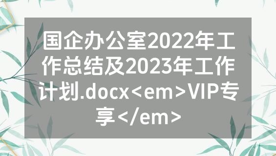 国企办公室2022年工作总结及2023年工作计划.docx<em>VIP专享</em>