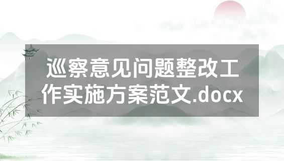 巡察意见问题整改工作实施方案范文.docx