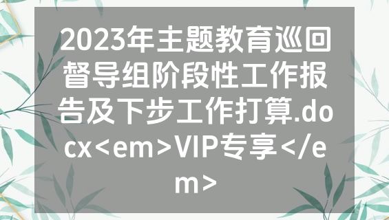 2023年主题教育巡回督导组阶段性工作报告及下步工作打算.docx<em>VIP专享</em>