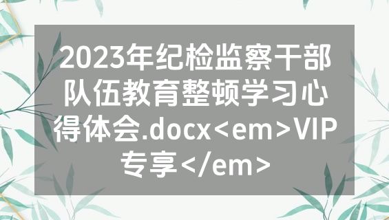 2023年纪检监察干部队伍教育整顿学习心得体会.docx<em>VIP专享</em>