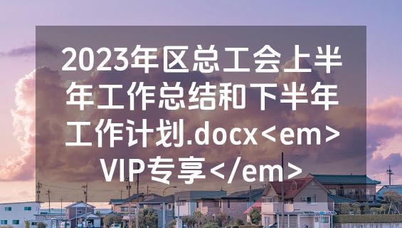 2023年区总工会上半年工作总结和下半年工作计划.docx<em>VIP专享</em>