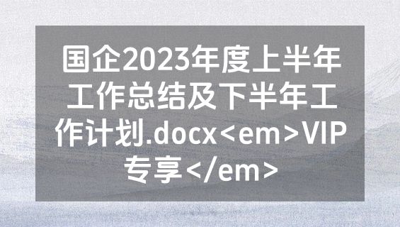国企2023年度上半年工作总结及下半年工作计划.docx<em>VIP专享</em>