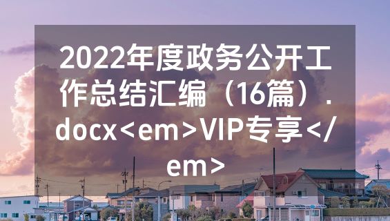 2022年度政务公开工作总结汇编（16篇）.docx<em>VIP专享</em>