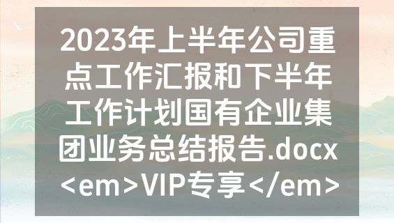 2023年上半年公司重点工作汇报和下半年工作计划国有企业集团业务总结报告.docx<em>VIP专享</em>