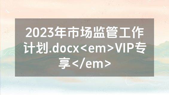 2023年市场监管工作计划.docx<em>VIP专享</em>