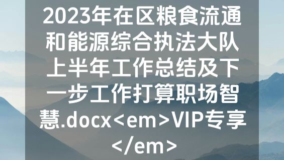2023年在区粮食流通和能源综合执法大队上半年工作总结及下一步工作打算职场智慧.docx<em>VIP专享</em>