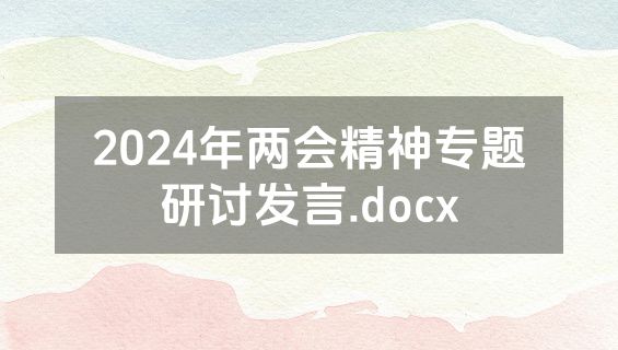 2024年两会精神专题研讨发言.docx