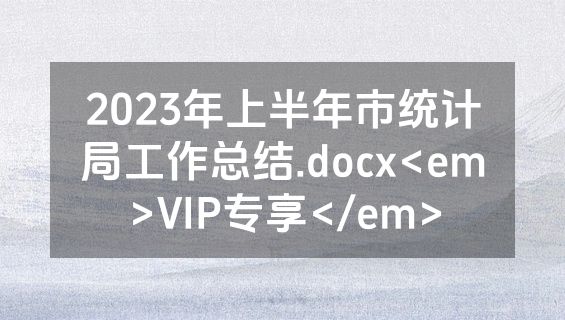 2023年上半年市统计局工作总结.docx<em>VIP专享</em>