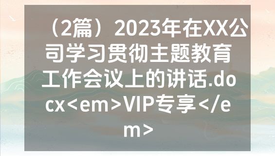 （2篇）2023年在XX公司学习贯彻主题教育工作会议上的讲话.docx<em>VIP专享</em>