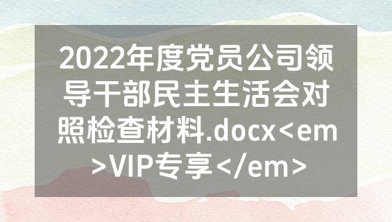 2022年度党员公司领导干部民主生活会对照检查材料.docx<em>VIP专享</em>