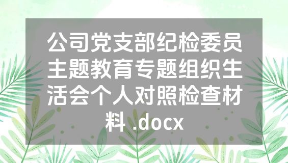 公司党支部纪检委员主题教育专题组织生活会个人对照检查材料 .docx