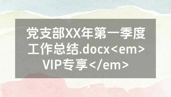 党支部XX年第一季度工作总结.docx<em>VIP专享</em>