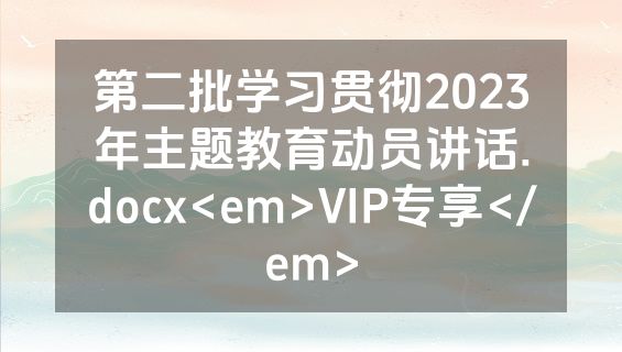 第二批学习贯彻2023年主题教育动员讲话.docx<em>VIP专享</em>