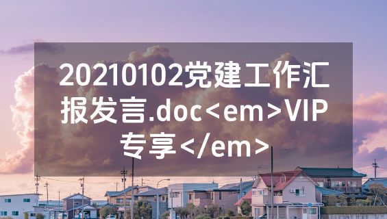 20210102党建工作汇报发言.doc<em>VIP专享</em>