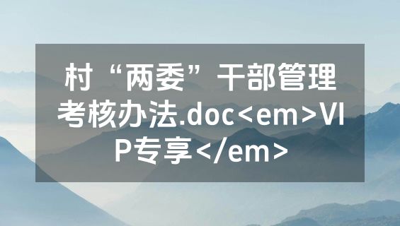 村“两委”干部管理考核办法.doc<em>VIP专享</em>