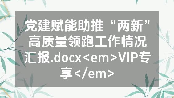 党建赋能助推“两新”高质量领跑工作情况汇报.docx<em>VIP专享</em>