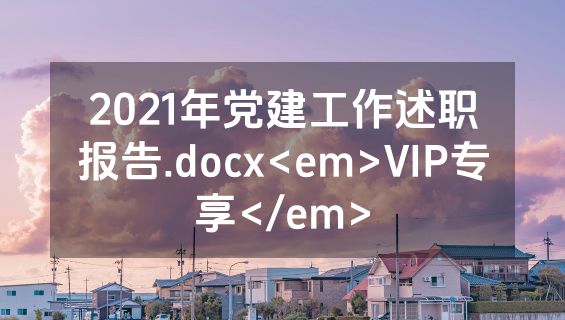2021年党建工作述职报告.docx<em>VIP专享</em>