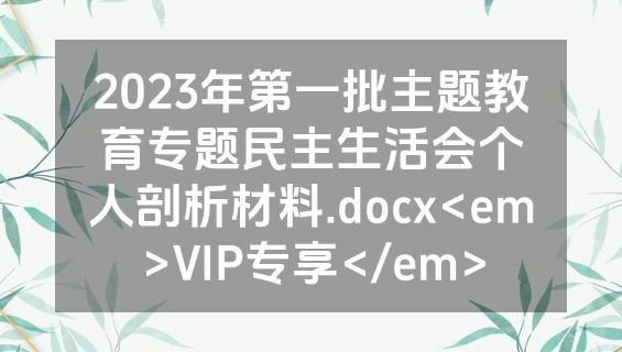 2023年第一批主题教育专题民主生活会个人剖析材料.docx<em>VIP专享</em>