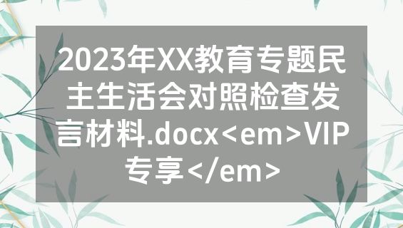 2023年XX教育专题民主生活会对照检查发言材料.docx<em>VIP专享</em>