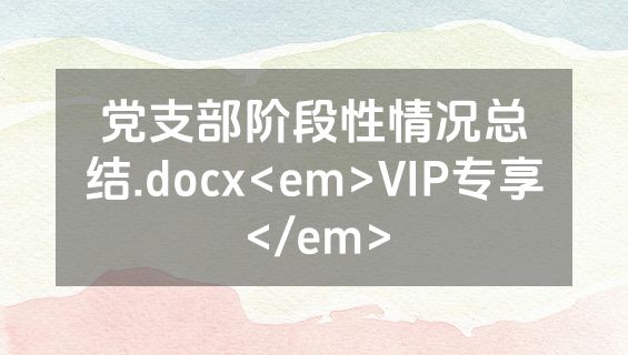 党支部阶段性情况总结.docx<em>VIP专享</em>