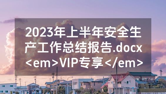 2023年上半年安全生产工作总结报告.docx<em>VIP专享</em>