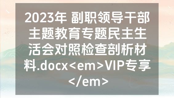 2023年 副职领导干部主题教育专题民主生活会对照检查剖析材料.docx<em>VIP专享</em>
