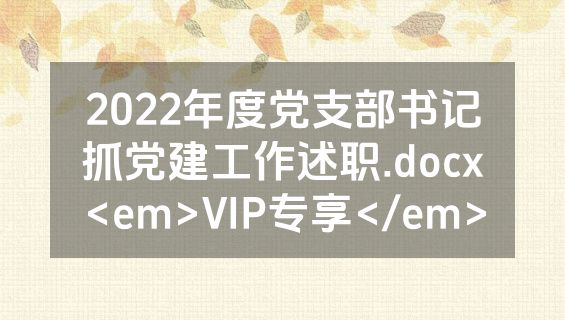 2022年度党支部书记抓党建工作述职.docx<em>VIP专享</em>