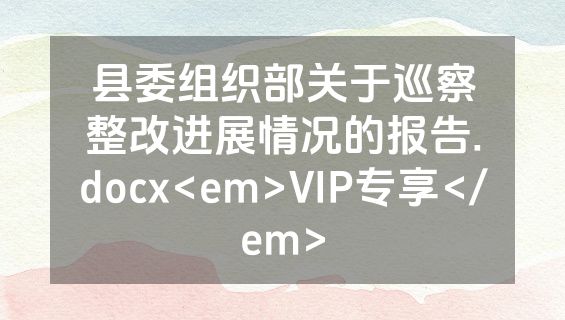 县委组织部关于巡察整改进展情况的报告.docx<em>VIP专享</em>
